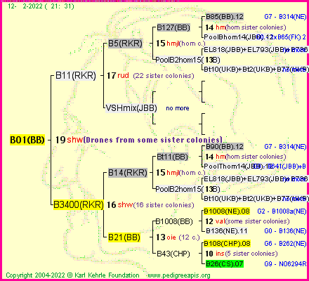 Pedigree of B01(BB) :
four generations presented
it's temporarily unavailable, sorry!