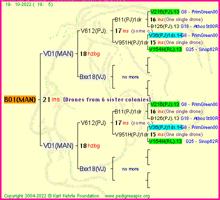 Pedigree of B01(MAN) :
four generations presented
it's temporarily unavailable, sorry!