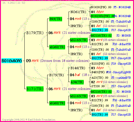 Pedigree of B01(MKW) :
four generations presented