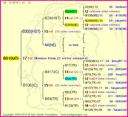 Pedigree of B01(MT) :
four generations presented
it's temporarily unavailable, sorry!