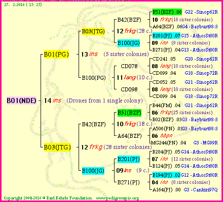 Pedigree of B01(NDE) :
four generations presented