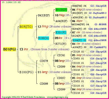 Pedigree of B01(PG) :
four generations presented