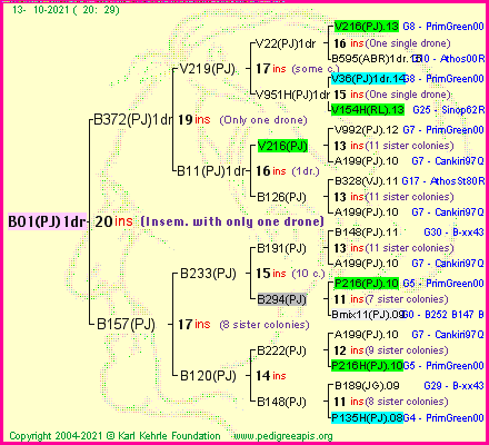 Pedigree of B01(PJ)1dr :
four generations presented
it's temporarily unavailable, sorry!