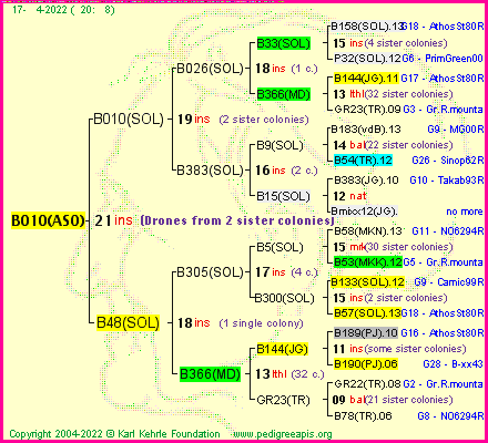 Pedigree of B010(ASO) :
four generations presented
it's temporarily unavailable, sorry!