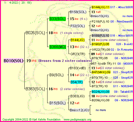 Pedigree of B010(SOL) :
four generations presented
it's temporarily unavailable, sorry!