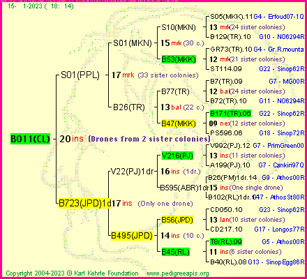 Pedigree of B011(CL) :
four generations presented
it's temporarily unavailable, sorry!