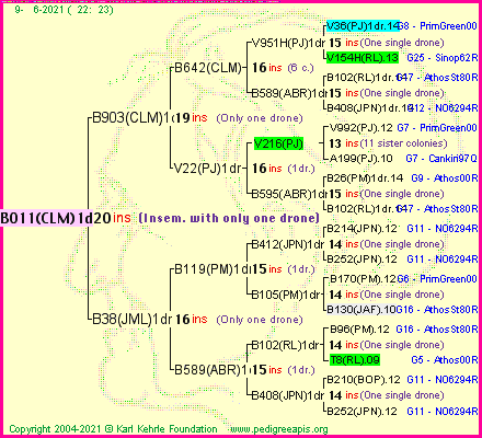 Pedigree of B011(CLM)1dr :
four generations presented
it's temporarily unavailable, sorry!