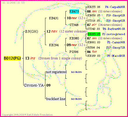 Pedigree of B012(PG) :
four generations presented