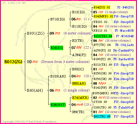 Pedigree of B012(ZG) :
four generations presented