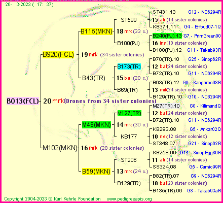 Pedigree of B013(FCL) :
four generations presented
it's temporarily unavailable, sorry!