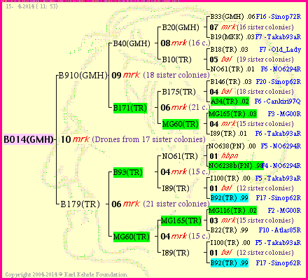 Pedigree of B014(GMH) :
four generations presented