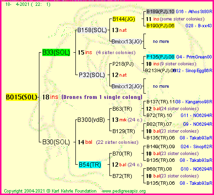 Pedigree of B015(SOL) :
four generations presented
it's temporarily unavailable, sorry!