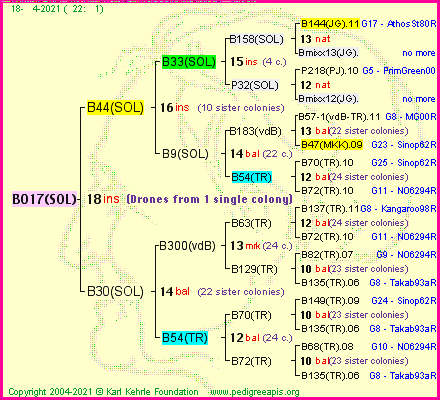 Pedigree of B017(SOL) :
four generations presented
it's temporarily unavailable, sorry!