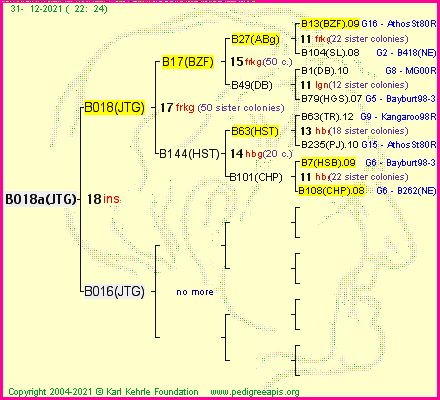 Pedigree of B018a(JTG) :
four generations presented
it's temporarily unavailable, sorry!