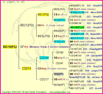 Pedigree of B019(PG) :
four generations presented
it's temporarily unavailable, sorry!