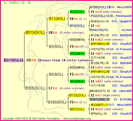 Pedigree of B019(SGS) :
four generations presented
it's temporarily unavailable, sorry!