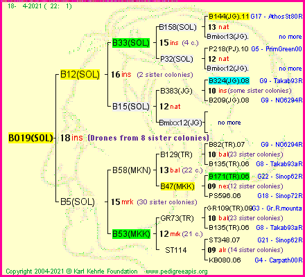 Pedigree of B019(SOL) :
four generations presented
it's temporarily unavailable, sorry!