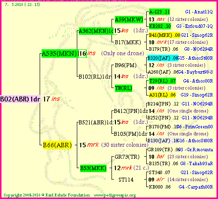 Pedigree of B02(ABR)1dr :
four generations presented<br />it's temporarily unavailable, sorry!