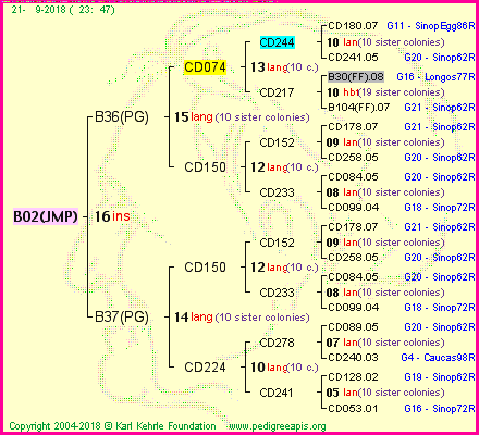 Pedigree of B02(JMP) :
four generations presented<br />it's temporarily unavailable, sorry!