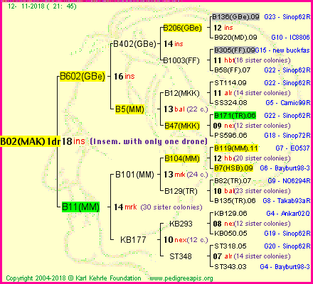 Pedigree of B02(MAK)1dr :
four generations presented<br />it's temporarily unavailable, sorry!