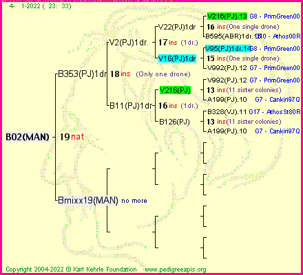 Pedigree of B02(MAN) :
four generations presented
it's temporarily unavailable, sorry!