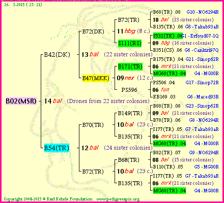 Pedigree of B02(MSR) :
four generations presented