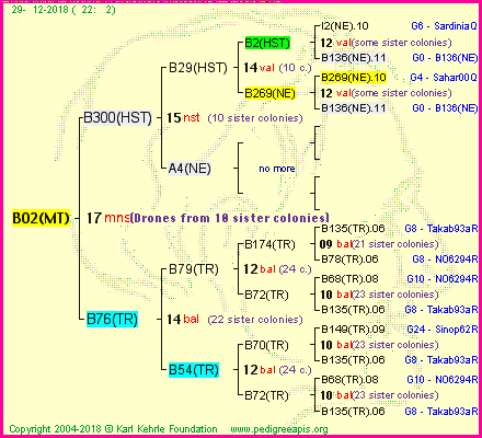 Pedigree of B02(MT) :
four generations presented<br />it's temporarily unavailable, sorry!