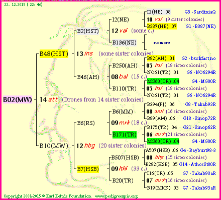 Pedigree of B02(MW) :
four generations presented