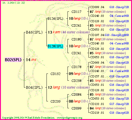 Pedigree of B02(SPL) :
four generations presented<br />it's temporarily unavailable, sorry!