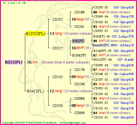 Pedigree of B02(SPL) :
four generations presented