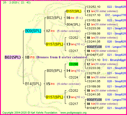 Pedigree of B02(SPL) :
four generations presented<br />it's temporarily unavailable, sorry!