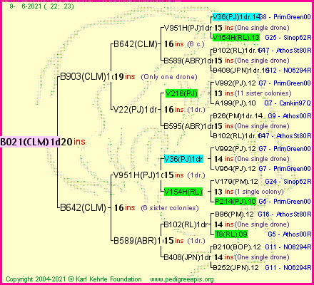 Pedigree of B021(CLM)1dr :
four generations presented
it's temporarily unavailable, sorry!