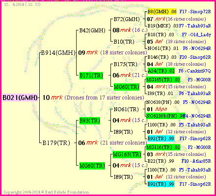 Pedigree of B021(GMH) :
four generations presented