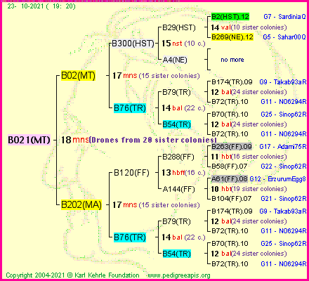 Pedigree of B021(MT) :
four generations presented
it's temporarily unavailable, sorry!