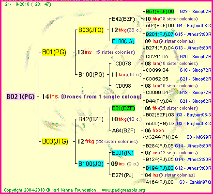 Pedigree of B021(PG) :
four generations presented<br />it's temporarily unavailable, sorry!