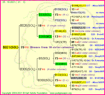 Pedigree of B021(SOL) :
four generations presented
it's temporarily unavailable, sorry!