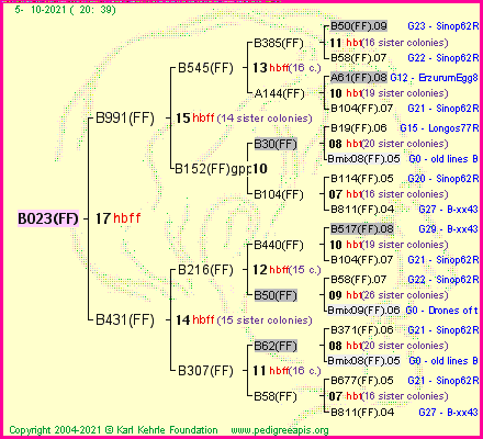 Pedigree of B023(FF) :
four generations presented
it's temporarily unavailable, sorry!