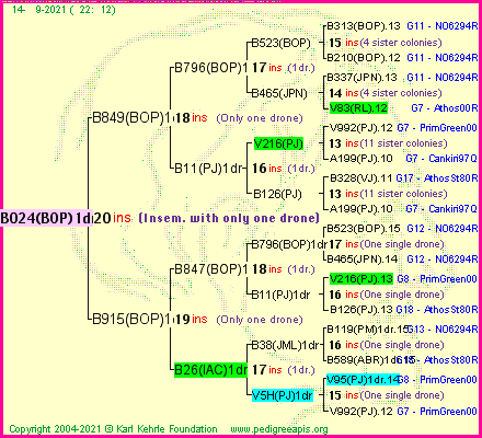 Pedigree of B024(BOP)1dr :
four generations presented
it's temporarily unavailable, sorry!