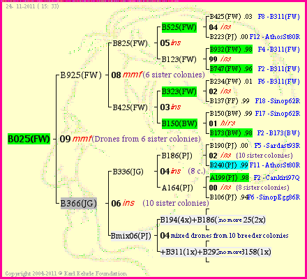 Pedigree of B025(FW) :
four generations presented