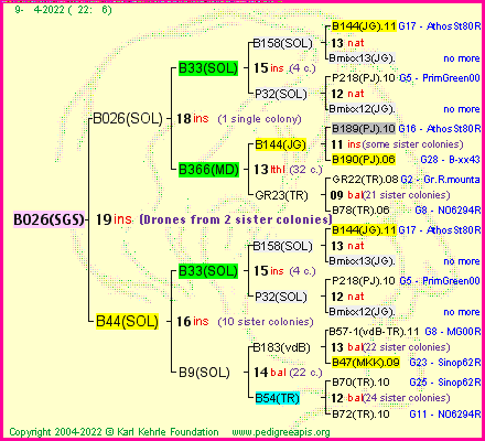 Pedigree of B026(SGS) :
four generations presented
it's temporarily unavailable, sorry!