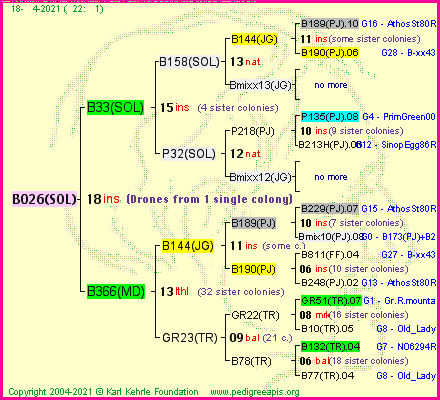 Pedigree of B026(SOL) :
four generations presented
it's temporarily unavailable, sorry!