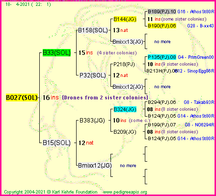 Pedigree of B027(SOL) :
four generations presented
it's temporarily unavailable, sorry!