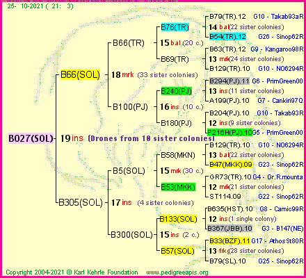 Pedigree of B027(SOL) :
four generations presented
it's temporarily unavailable, sorry!