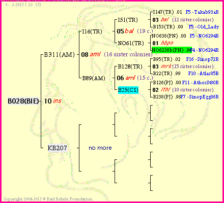 Pedigree of B028(BIE) :
four generations presented