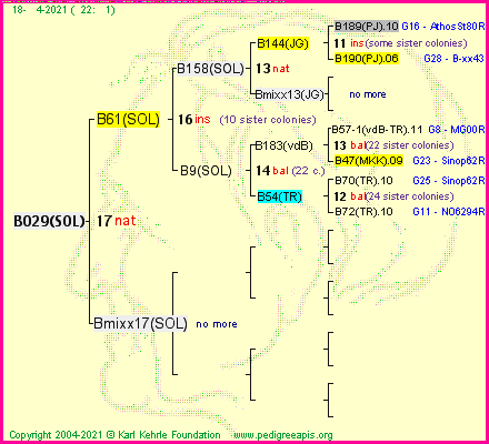 Pedigree of B029(SOL) :
four generations presented
it's temporarily unavailable, sorry!