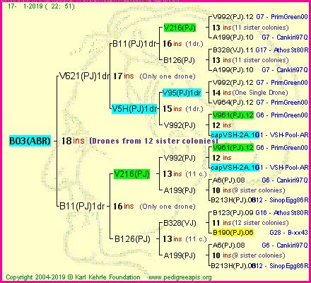 Pedigree of B03(ABR) :
four generations presented<br />it's temporarily unavailable, sorry!