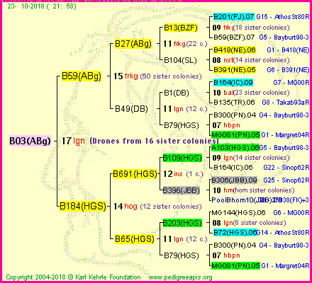 Pedigree of B03(ABg) :
four generations presented<br />it's temporarily unavailable, sorry!