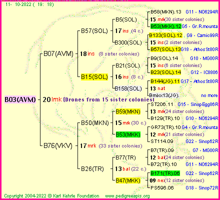 Pedigree of B03(AVM) :
four generations presented
it's temporarily unavailable, sorry!