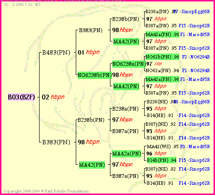 Pedigree of B03(BZF) :
four generations presented