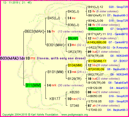 Pedigree of B03(MAK)1dr :
four generations presented<br />it's temporarily unavailable, sorry!